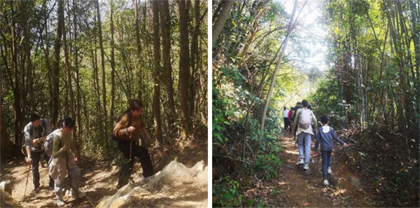 廣東博皓 博行天下丨虎年第一爬,挑戰從化老虎頭 -2