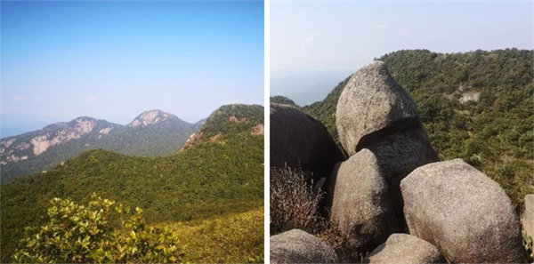 廣東博皓 博行天下丨虎年第一爬,挑戰從化老虎頭 -4