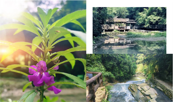 &ldquo;湘&rdquo;約鳳凰，相守未來&mdash;&mdash;2022博皓快樂湖南行    -34