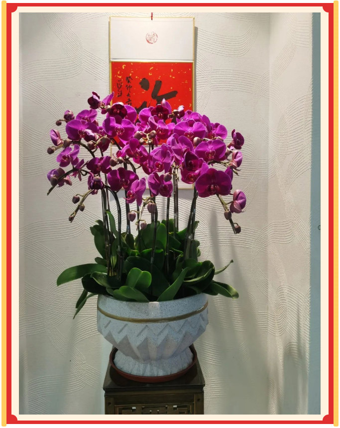 廣東博皓開工大吉丨金虎騰躍,兔來運轉 -23