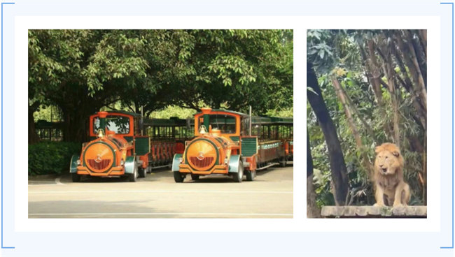 大手牽小手，快樂(lè)親子游！廣東博皓2023年親子游活動(dòng)        -7