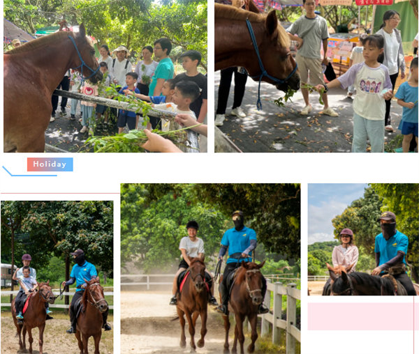 廿載博皓盛夏日，親子相伴歡樂行&mdash;2024年廣東博皓親子游    -7