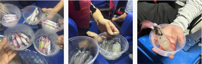 攜手博皓逐夢行，巽寮灣上展豪情&mdash;廣東博皓2025年巽寮灣之旅    -10